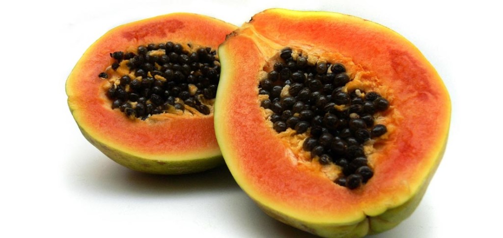 papaya-fermentata